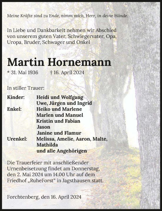 Traueranzeige von Martin Hornemann von GESAMT