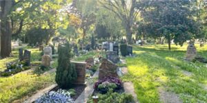 Logo Alter Friedhof Neckarsulm