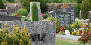 Logo Friedhof Duttenberg