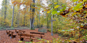 Logo Waldfriedhof Pfadbirkle