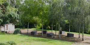 Logo Friedhof Schluchtern