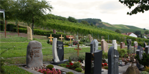 Logo Friedhof Binswangen