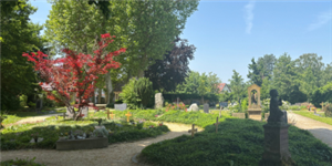 Logo Friedhof Neuenstein