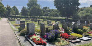 Logo Friedhof Bitzfeld